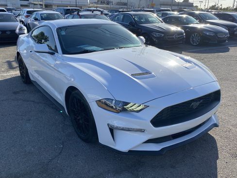 Used 2019 Ford Mustang Coupe RWD image 6