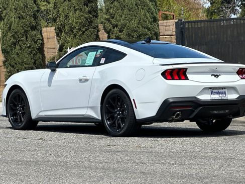 New 2026 Ford Mustang Coupe w/ Mustang Nite Pony Package RWD image 6