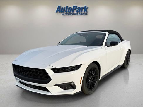 New 2026 Ford Mustang Premium image 3