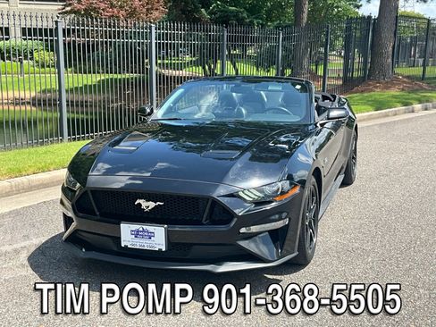 Used 2019 Ford Mustang GT Premium w/ Equipment Group 401A RWD image 23