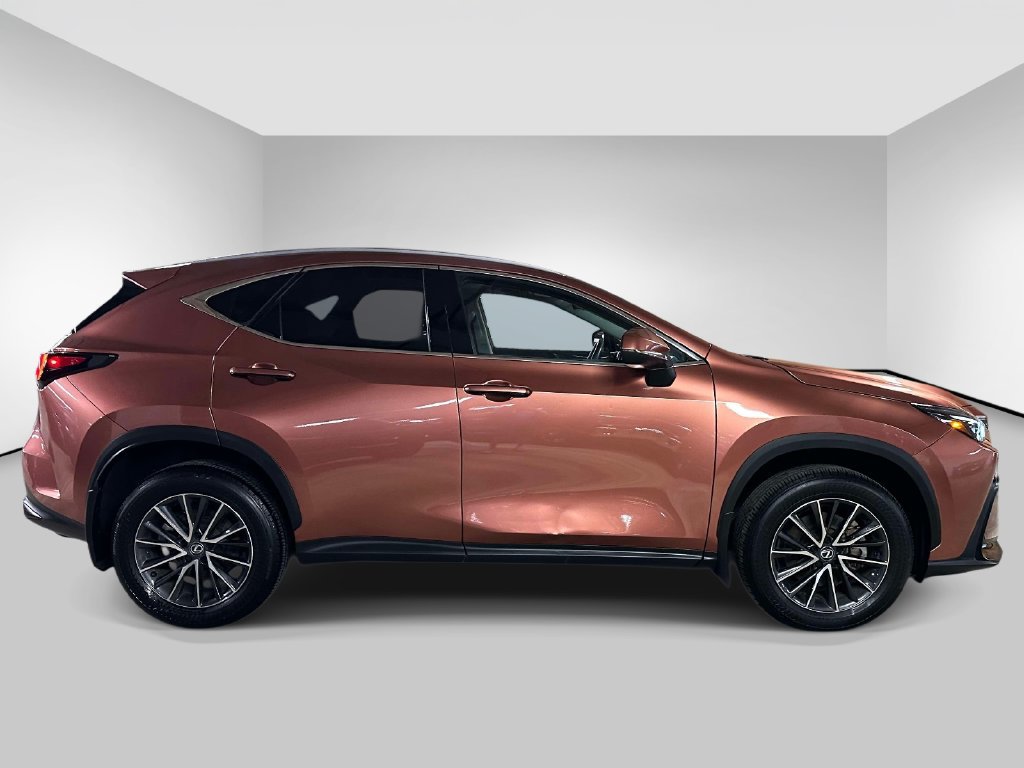 Used 2025 Lexus NX 250 AWD w/ Accessory Package (2T) image 6