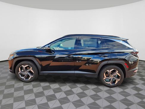 Used 2024 Hyundai Tucson Limited image 6