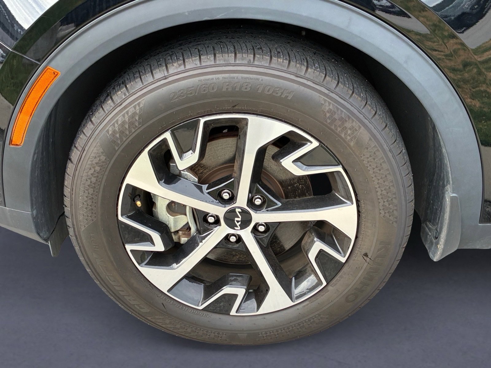 Used 2025 Kia Sportage EX w/ Premium Package FWD image 8