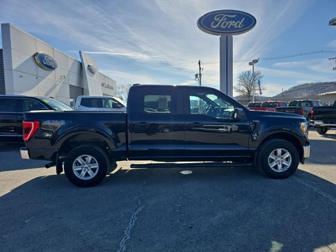 Used 2021 Ford F150 XL w/ Equipment Group 101A High image 2