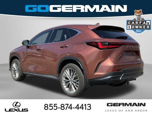 Used 2025 Lexus NX 350h AWD w/ Luxury Package image 5