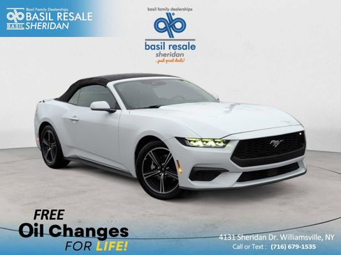 Used 2025 Ford Mustang Premium image 1