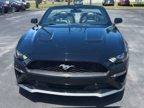 Used 2019 Ford Mustang Premium RWD image 3