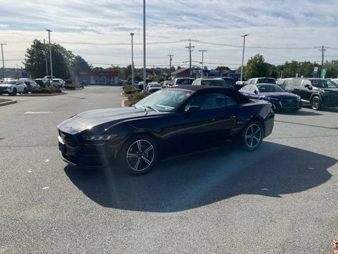 Used 2024 Ford Mustang Premium RWD image 3