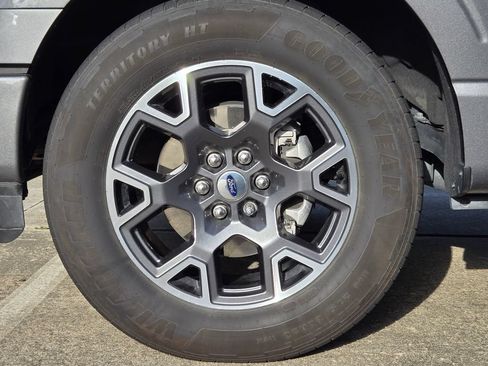 Used 2025 Ford F150 STX w/ Equipment Group 200A RWD image 14