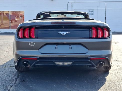 Used 2019 Ford Mustang Convertible RWD image 14