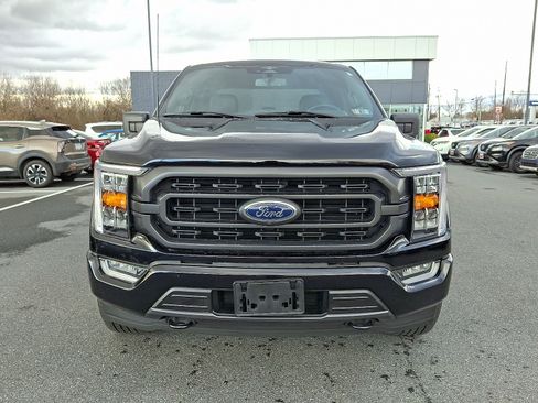 Used 2023 Ford F150 XLT w/ Equipment Group 302A High image 2