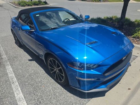 Used 2019 Ford Mustang Premium w/ Equipment Group 201A RWD image 3