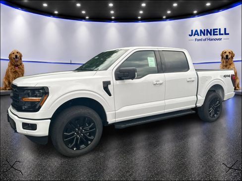 New 2026 Ford F150 XLT w/ Equipment Group 302A MID AWD/4WD image 1