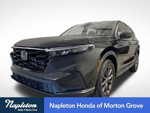 Used 2026 Honda CR-V EX-L image 1