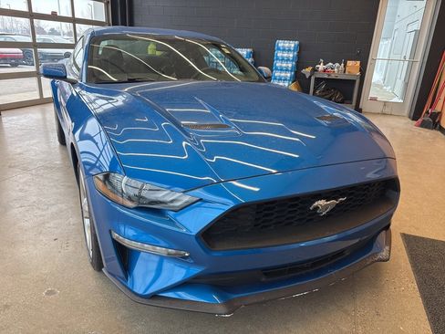 Used 2019 Ford Mustang Coupe w/ Equipment Group 101A image 1