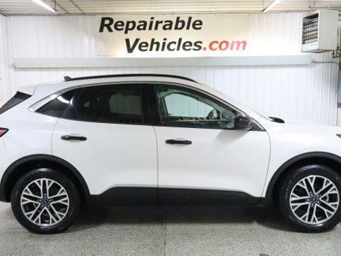 Used 2020 Ford Escape SEL image 4