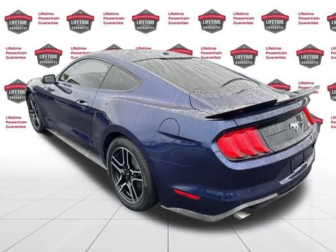 Used 2019 Ford Mustang Premium image 7