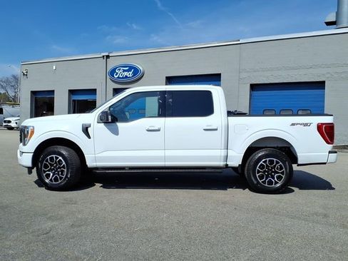 Used 2023 Ford F150 XLT w/ Equipment Group 302A High image 2