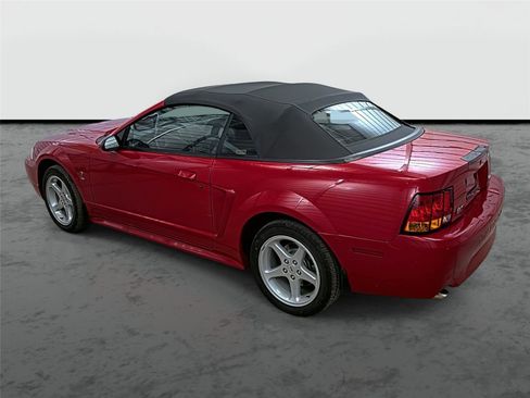 Used 1999 Ford Mustang Cobra image 2