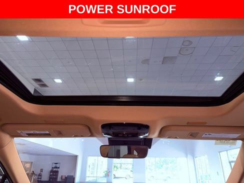 Certified 2025 Lexus NX 250 FWD w/ Cold Area Package image 11