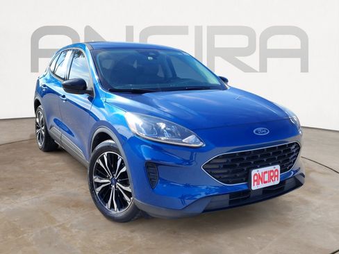 Used 2022 Ford Escape SE w/ SE Sport Appearance Package image 7