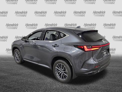 Certified 2025 Lexus NX 350h AWD w/ Cold Area Package image 7