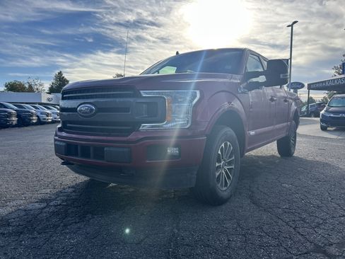 Used 2019 Ford F150 XLT w/ Equipment Group 302A Luxury AWD/4WD image 8