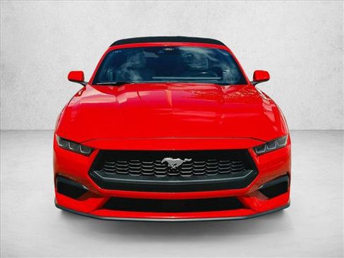 Used 2024 Ford Mustang Premium RWD image 2
