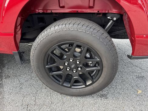 Used 2025 Ford F150 STX w/ STX Black Appearance Package AWD/4WD image 18