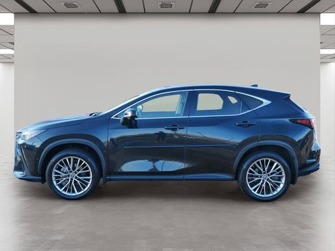 Used 2022 Lexus NX 350h 350h Luxury w/ Vision Package image 3
