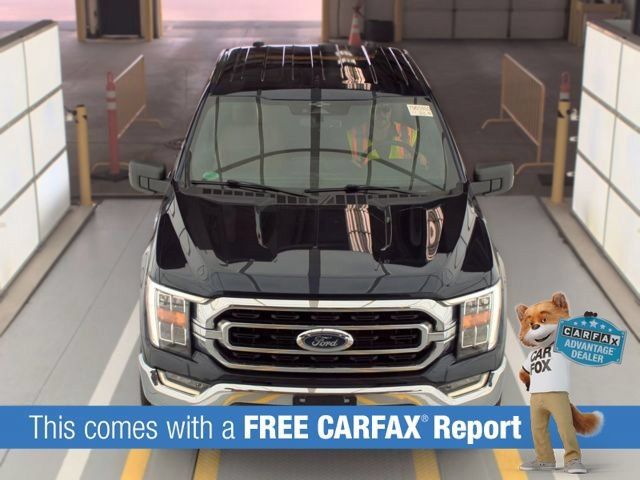 Used 2023 Ford F150 XLT w/ Equipment Group 302A High AWD/4WD image 2