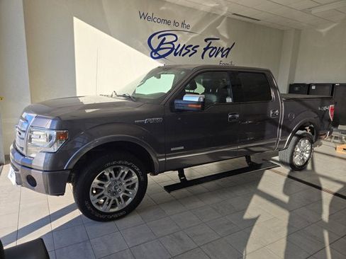 Used 2014 Ford F150 Platinum image 1