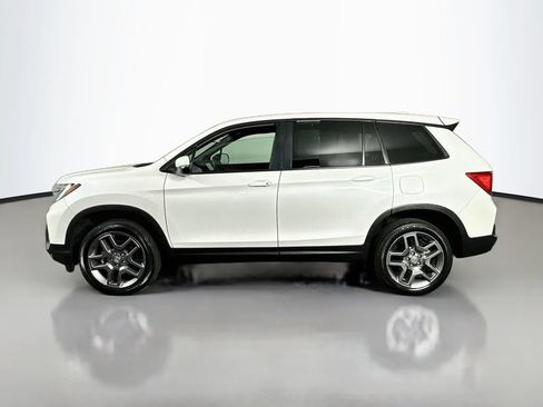 Used 2023 Honda Passport EX-L image 5