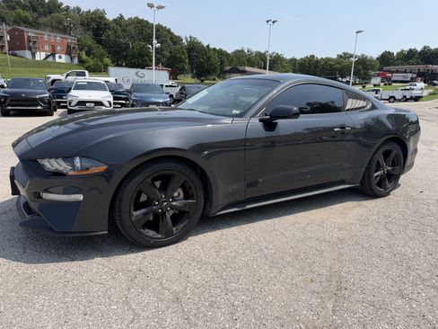 Used 2023 Ford Mustang Coupe w/ Equipment Group 101A RWD image 3