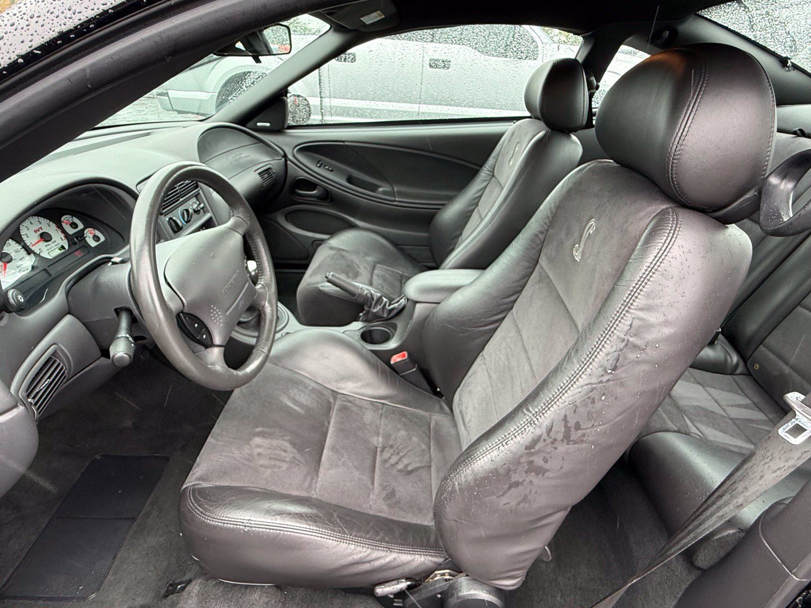 Used 2004 Ford Mustang Cobra RWD image 12