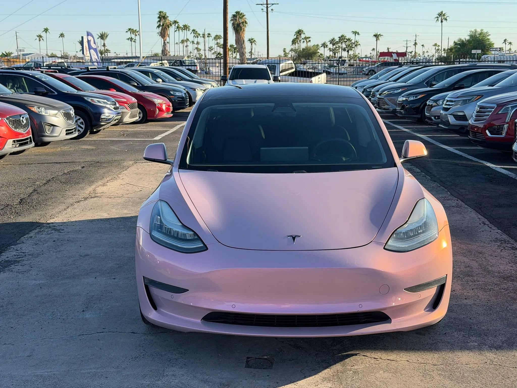 Used 2020 Tesla Model 3 Standard Range Plus RWD image 15