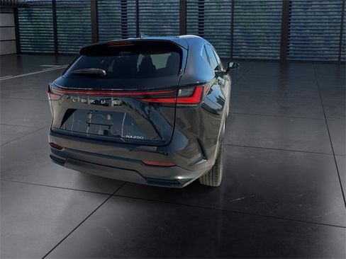 Certified 2024 Lexus NX 250 FWD w/ Premium Package image 7