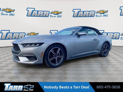 Used 2025 Ford Mustang Premium RWD image 1