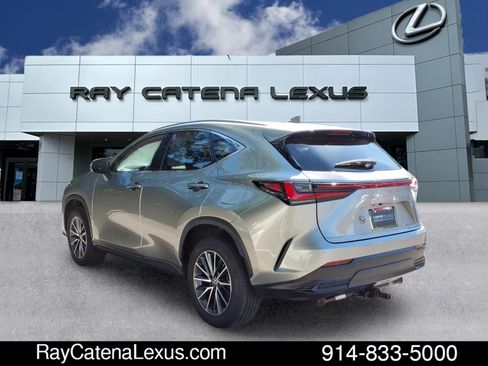 Certified 2024 Lexus NX 350 AWD w/ Cold Area Package image 6