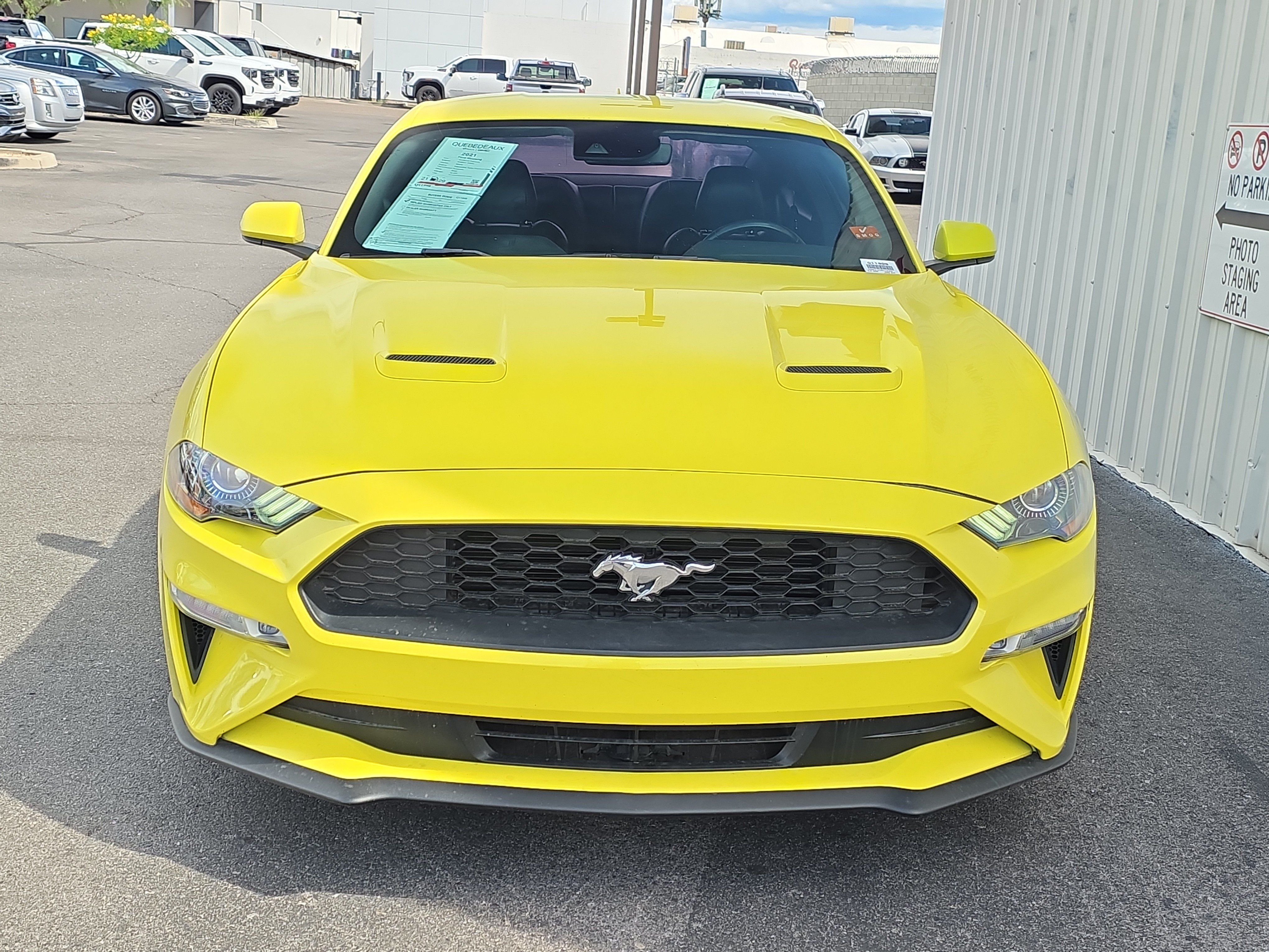 Used 2021 Ford Mustang Premium RWD image 2