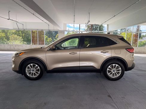 Used 2020 Ford Escape SE FWD image 8