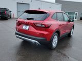 New 2025 Ford Escape Active w/ Tech Pack #1 image 5
