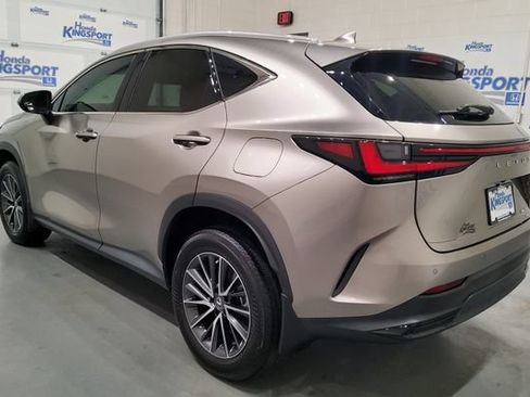 Used 2023 Lexus NX 350 AWD image 4