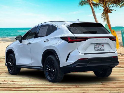 Used 2025 Lexus NX 350h AWD w/ Cold Area Package image 4