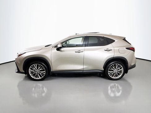 Used 2025 Lexus NX 350 AWD w/ Cold Area Package image 4