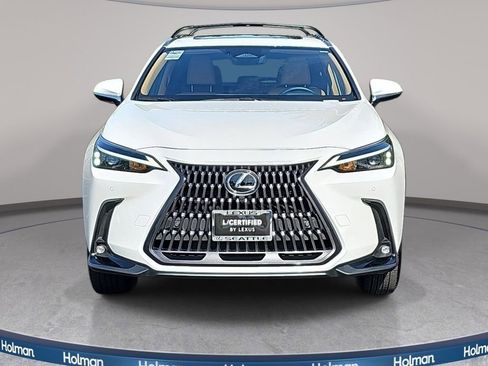 Used 2025 Lexus NX 350h AWD w/ Cold Area Package image 3