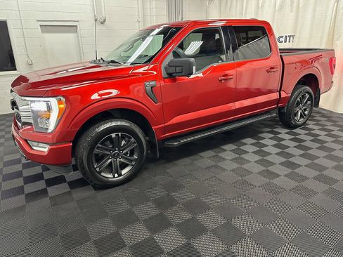 Used 2023 Ford F150 XLT w/ Equipment Group 302A High AWD/4WD image 5