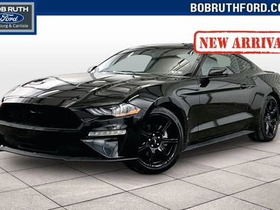 Used 2019 Ford Mustang Coupe w/ Black Accent Package
