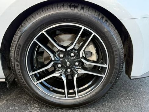 Used 2019 Ford Mustang Premium RWD image 5