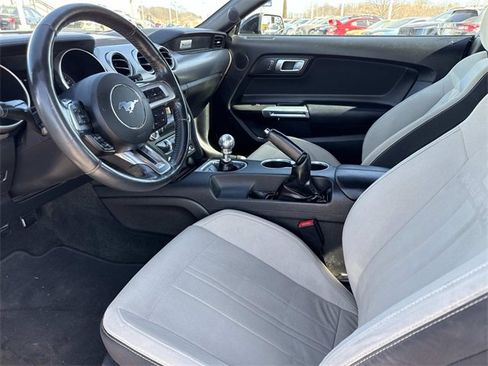 Used 2018 Ford Mustang GT w/ Equipment Group 301A image 14